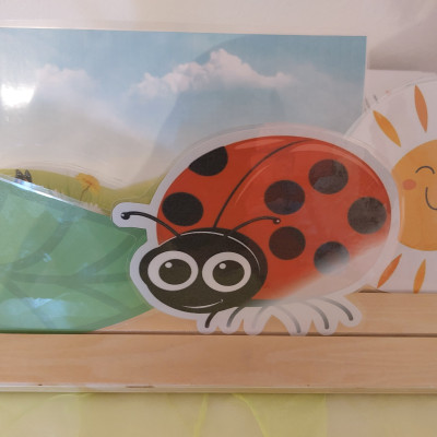 Marienkäfer Geschichte